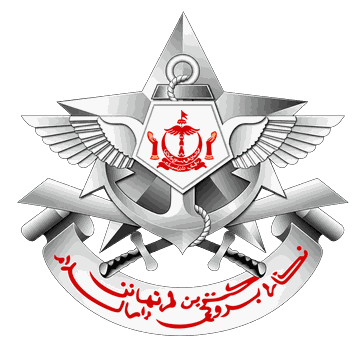 Defence client
